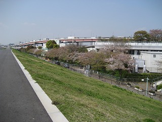 b0006329_21552513.jpg