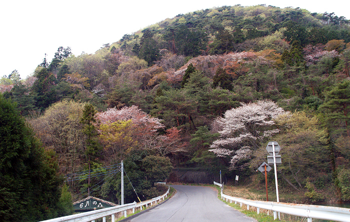 e0072638_21474570.jpg