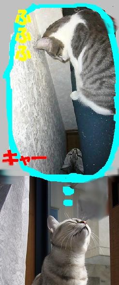 f0002743_1493023.jpg