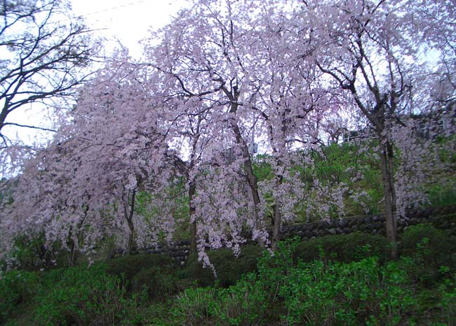 e0002850_22215933.jpg