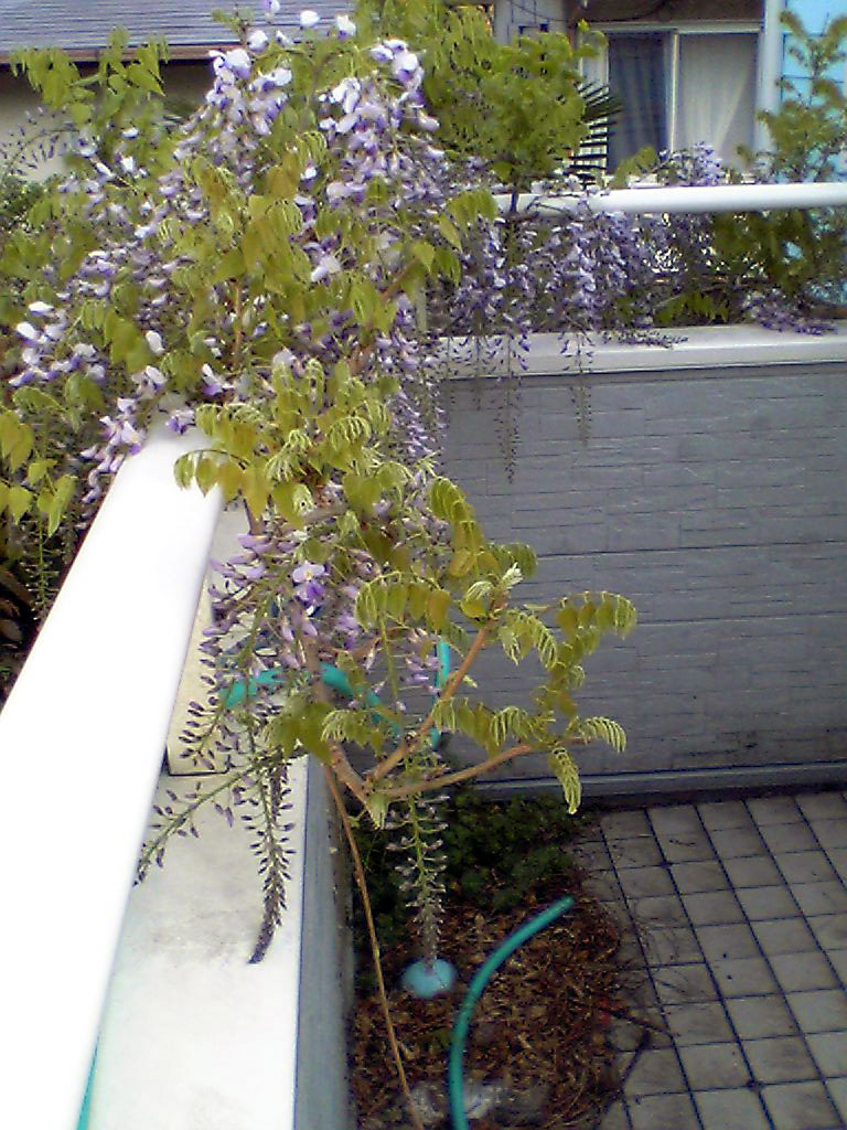 b0005652_19583420.jpg