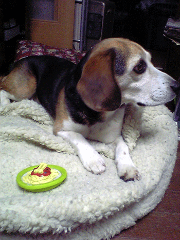 b0005652_21214570.gif