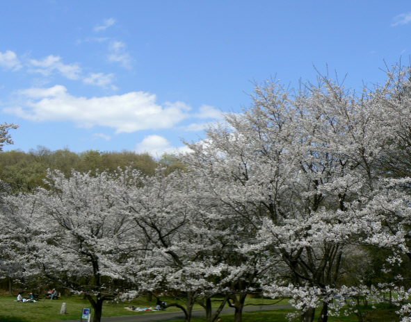 d0091754_215547.jpg