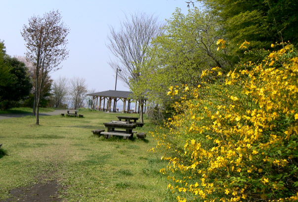 d0091754_22184.jpg