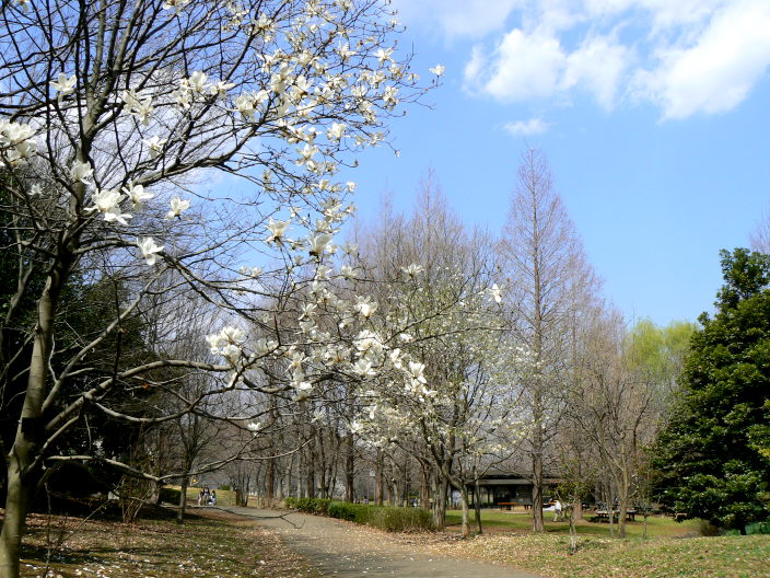 d0091754_227415.jpg