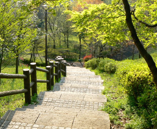 d0091754_271686.jpg