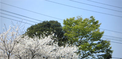 b0101263_10265870.jpg
