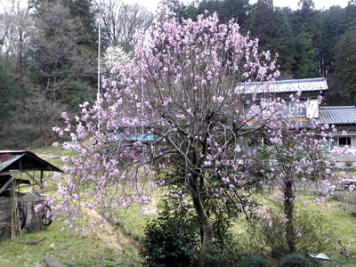 b0101263_11184687.jpg
