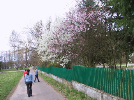 a0063364_22354361.jpg