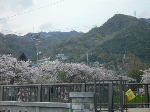 a0063364_22435459.jpg