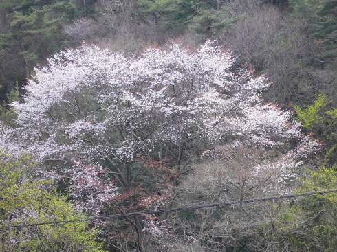 a0063364_22482194.jpg