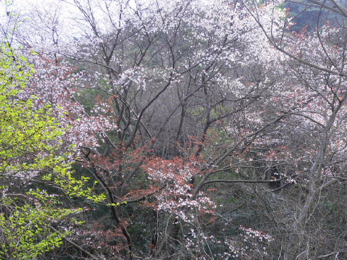 a0063364_22494914.jpg