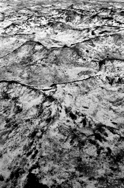 c0084666_16243945.jpg