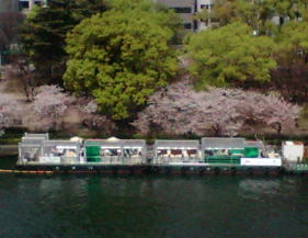 e0058166_0334040.jpg