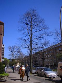 e0005868_222524100.jpg