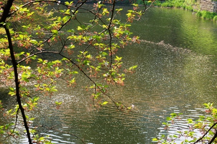 f0065768_1756242.jpg