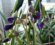 e0037673_23173597.jpg