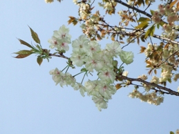 f0030875_0484878.jpg