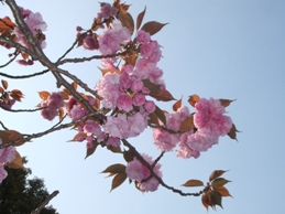 f0030875_0492335.jpg