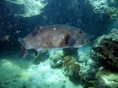 a0002177_21292195.jpg
