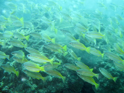 a0002177_21511868.jpg