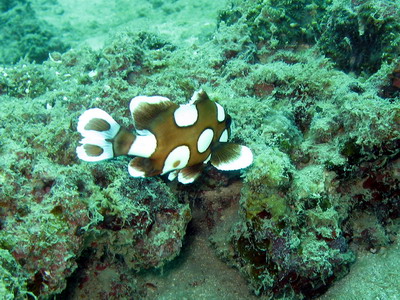 a0002177_21523367.jpg