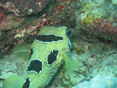 a0002177_21564956.jpg