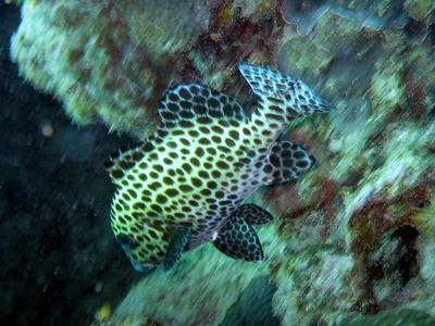 a0002177_21582399.jpg