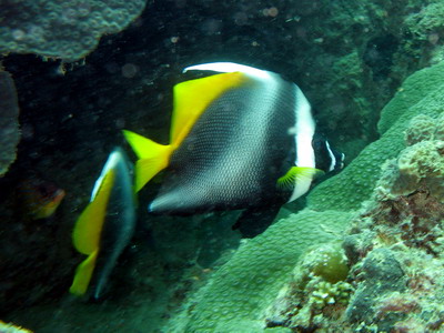 a0002177_2159586.jpg