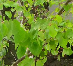 a0091680_1245726.jpg