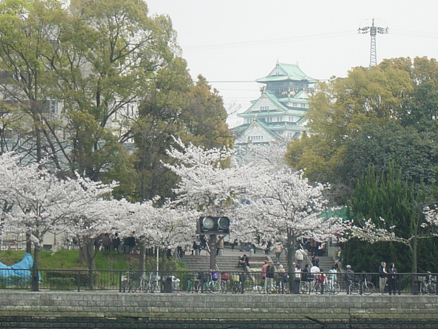 a0084885_1136596.jpg