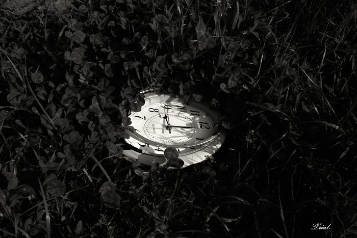 c0059485_20453885.jpg