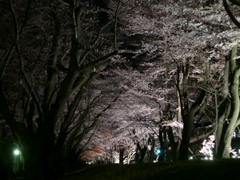 a0061594_1572423.jpg