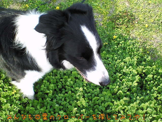 f0082396_19433643.jpg