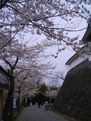 d0069498_17495282.jpg