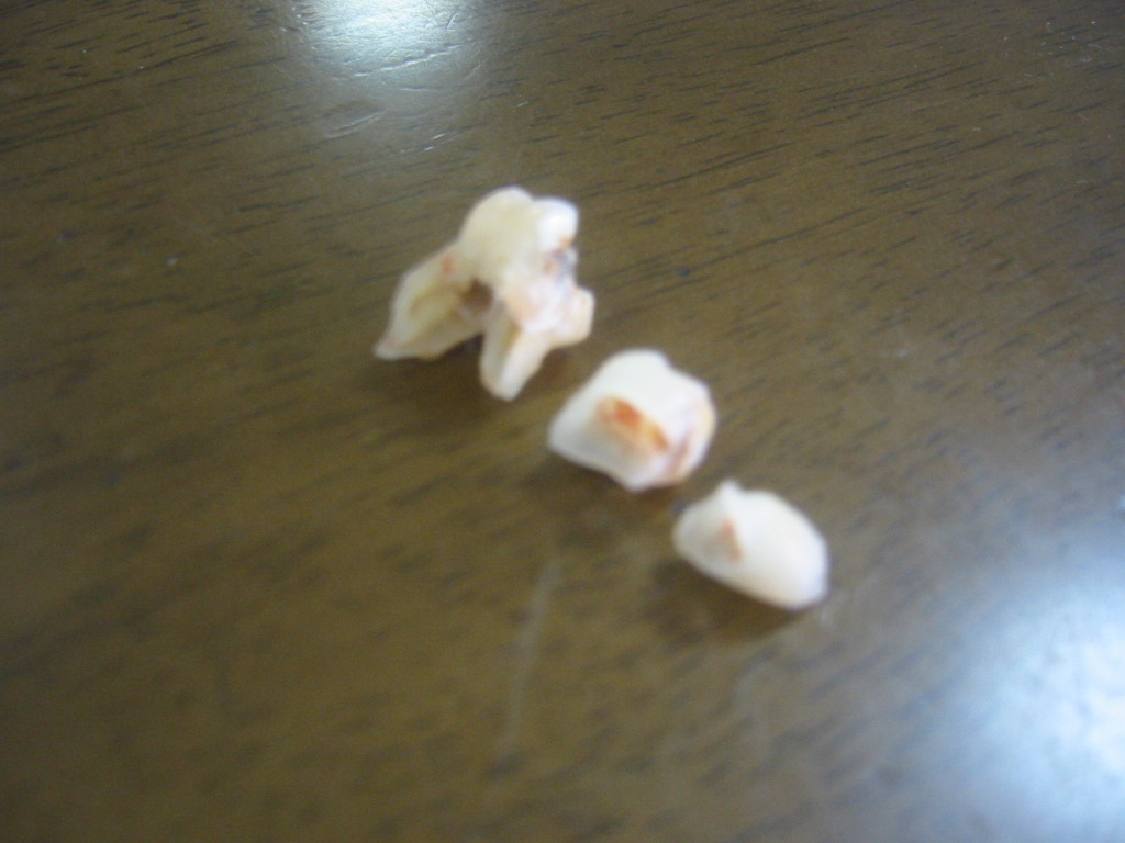 f0013998_2312456.jpg