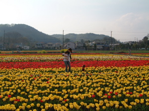 a0011999_17515546.jpg