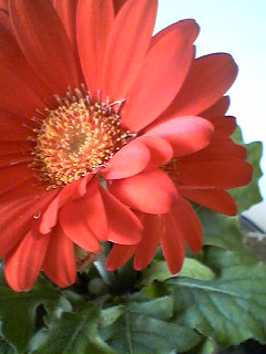 f0079502_15103117.jpg