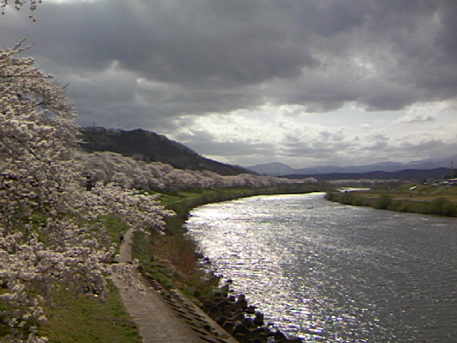a0101905_16564441.jpg