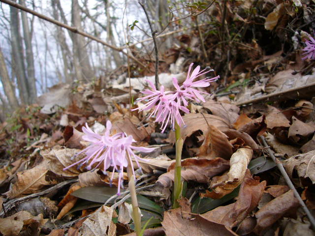 b0050305_18461233.jpg