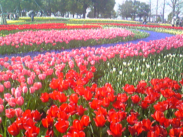 d0070007_19374587.jpg