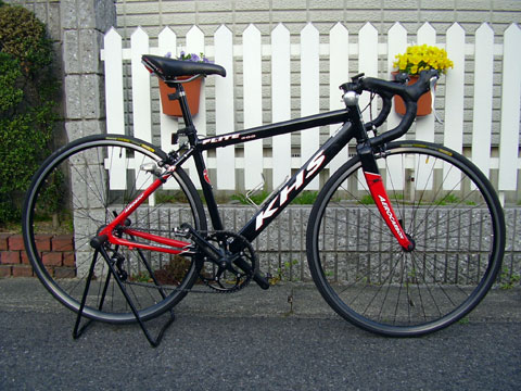 b0000209_228961.jpg