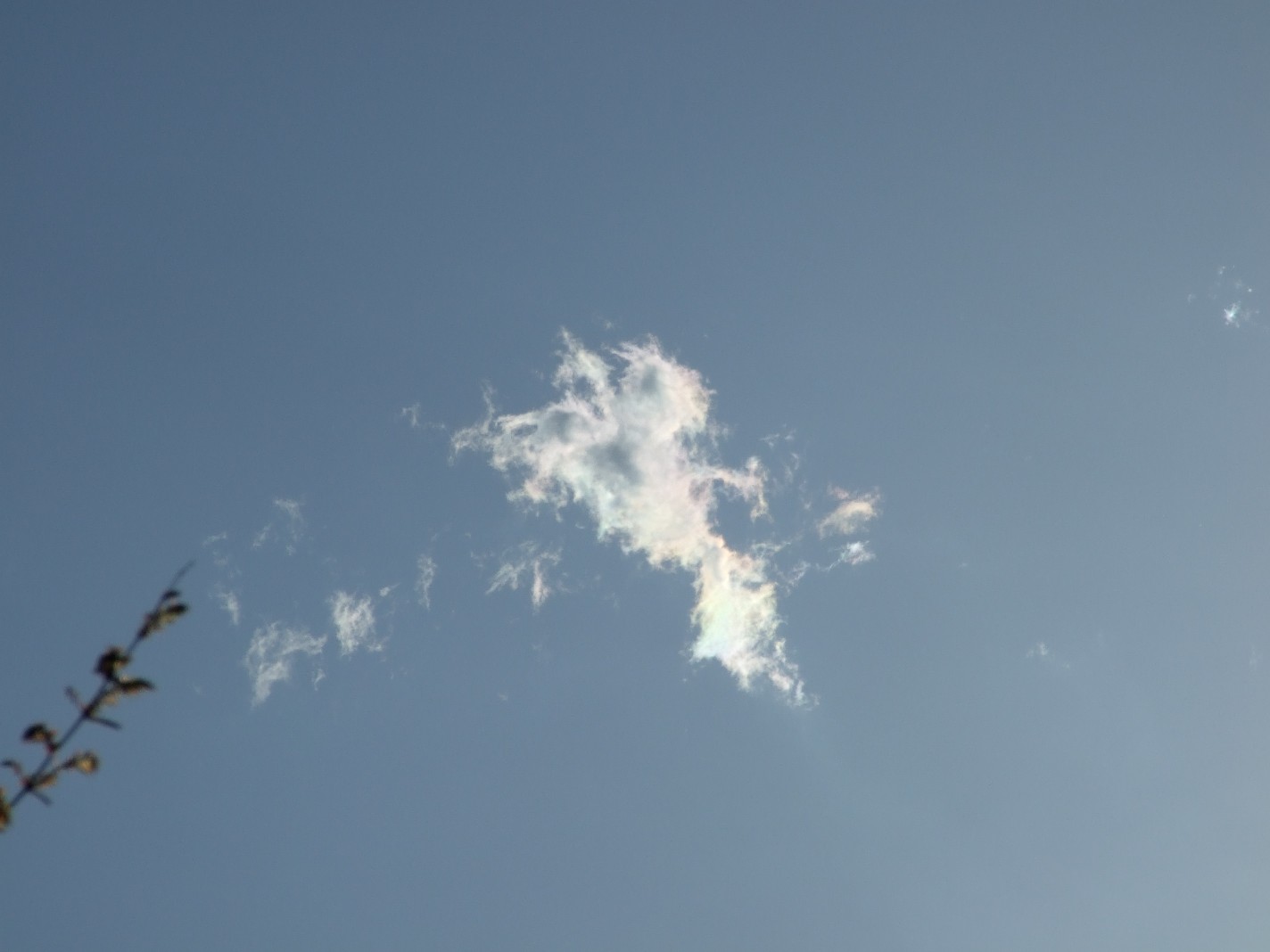 b0061010_17294564.jpg