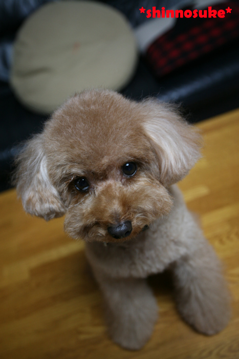 a0016311_17314327.jpg