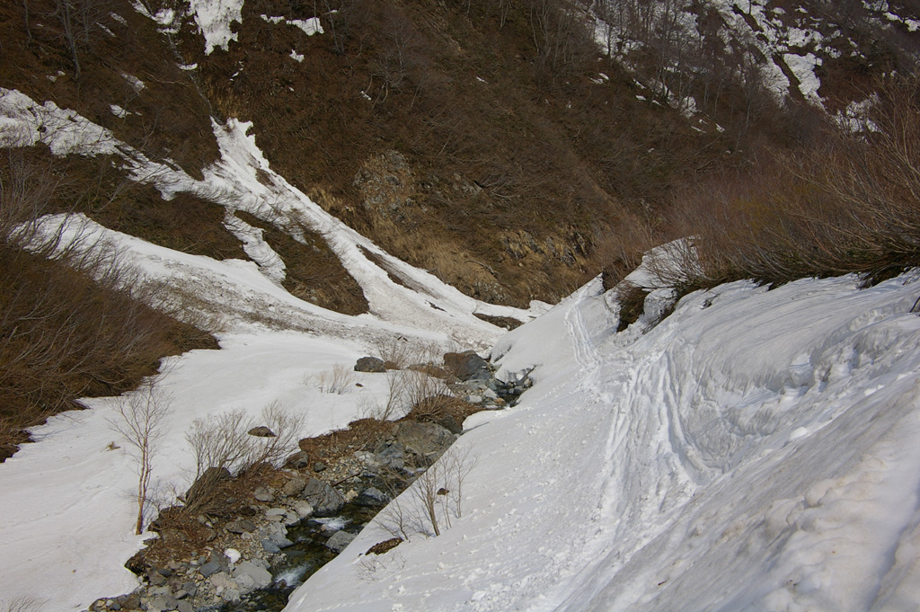 b0062024_21294990.jpg