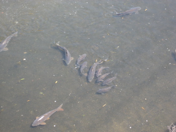 e0002927_20283093.jpg