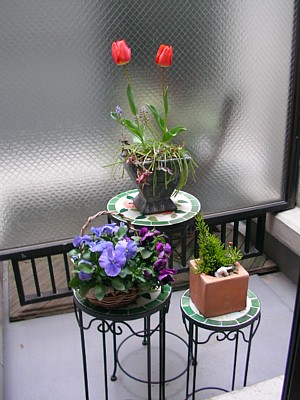 f0062127_10195727.jpg