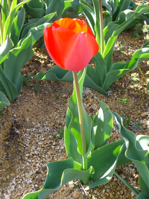 f0130430_2335896.jpg
