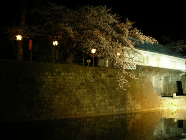 f0063931_9475991.jpg