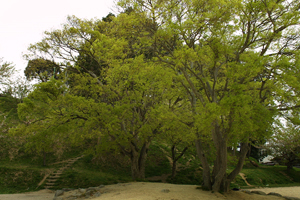 a0097735_2352425.jpg